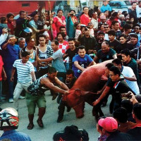 कोही काममा व्यस्त, कोही परिवारसँग मस्त