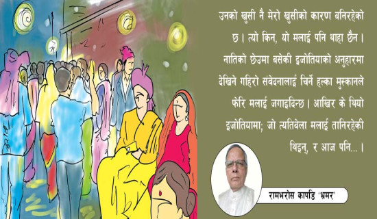 राष्ट्रपतिबाट निर्वाचनमा सेना परिचालन गर्न स्वीकृति