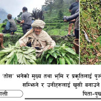 जुम्ला खण्डमा भ्यान दुर्घटना, १० जना घाइते