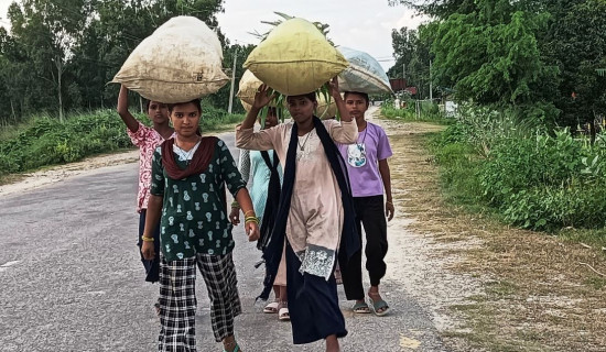 बालिकासम्बन्धी कानुन कार्यान्वयन चुनौतीपूर्ण
