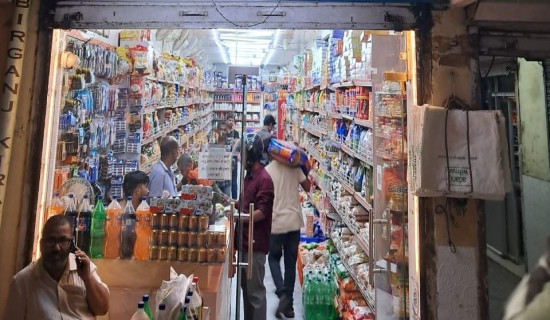 कर घटेपछि भारतीय बजारमा उपभोक्ताको भिड