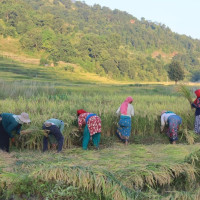 ‘मिलेर ल्याएको संविधान मिलेरै परिमार्जन गर्छौं’