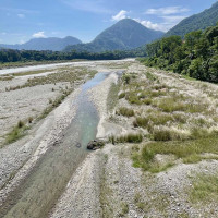 कोभिड-१९ सङ्क्रमणले मुसाको शुक्राणु परिवर्तन, सन्तानमा चिन्ता बढ्ने सम्भावना : अध्ययन