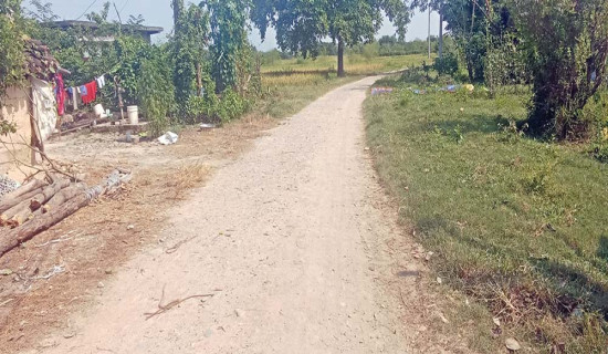 बेलबास–बेथरी पर्यटन सडक : खाताको रकम तानिएपछि काम सुरु