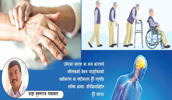 नातिकाजी सम्मान तथा पुरस्कार घोषणा