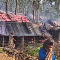 सुनसरीमा सिटी सफारी चालकको हत्या