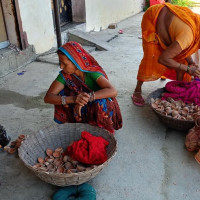 सर्वदलीय परामर्श