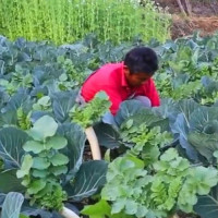 पुनर्निर्माणका लागि अध्ययन सुरु