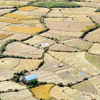 राष्ट्रिय सभा निर्वाचन : लुम्बिनीमा सत्ता गठबन्धनबाट सापकोटा र सुवेदीको उम्मेदवारी
