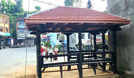 गुल्मीमा फल्चा निर्माणलाई तीव्रता