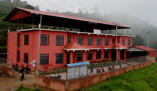 शरीर असन्तुलित पार्ने पार्किन्सन