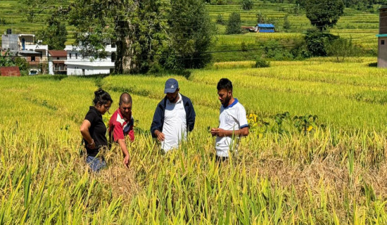 सार्वजनिक स्थलमा पैसा माग्नेका कारण यात्रुलाई असहज