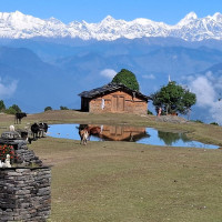 लाहाको चुराको माग बढ्दै, तर कारीगर घट्दै