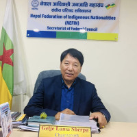 धानबालीमा फड्के कीराको सङ्क्रमण