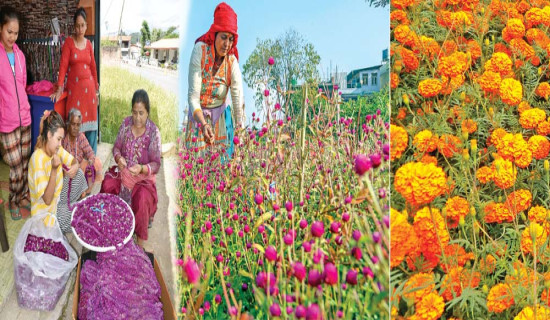 तिहारमा पैँतालिस लाख माला खपत हुने