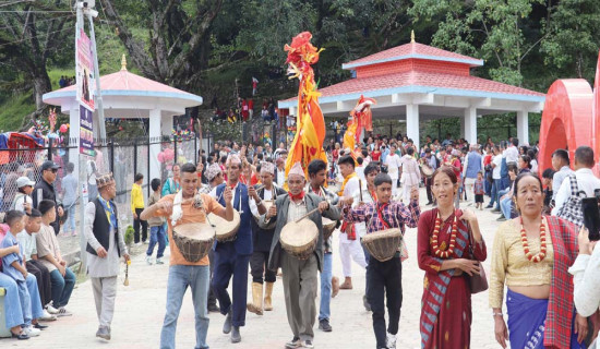 करोडौँको जैतुन खेती अलपत्र