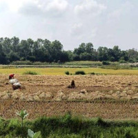 चीन र कोरियाबाट वैदेशिक लगानी प्रतिबद्धता धेरै