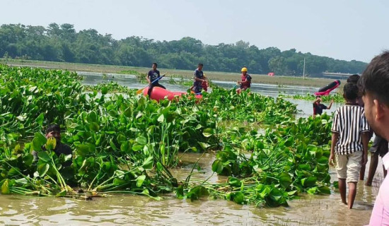 पानीमा डुबेर बेपत्ता भएका तीन जनाको शव फेला