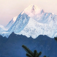 गाजाबाट मुक्त हुनेमा छैन विपिन जोशीको नाम