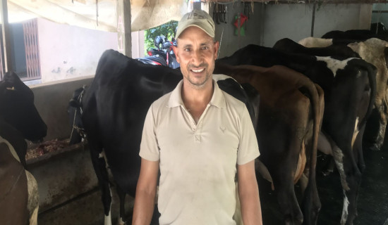 गाउँमै बसेर विदेशको भन्दा दोब्बर आम्दानी