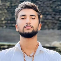 कार्यकारी अध्यक्ष चयनमा लोक सेवाको संलग्नता