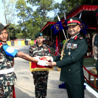 मितेरी बचत हिनामिना : दुई आरोपित पुर्पक्षका लागि थुनामा