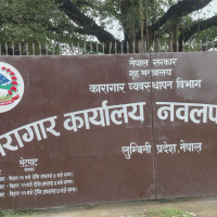 जडीबुटीमा टिपरको ठक्करबाट एकको मृत्यु