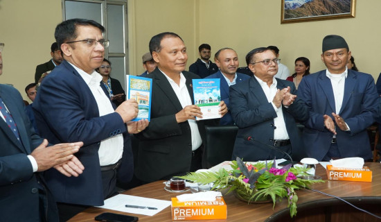 नेप्से परिसूचक ४४ अङ्कले बढ्यो