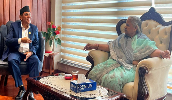 राष्ट्रिय सभामा जेनजीको प्रतिनिधित्वबारे परामर्श