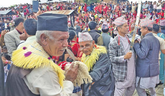 लुम्बिनीको हिस्सा चौध प्रतिशत