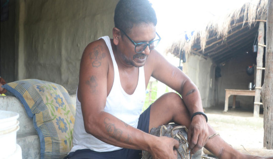 तिहारका लागि मादल बनाउन भ्याइनभ्याइ