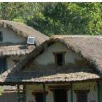 बाँदर र चरा