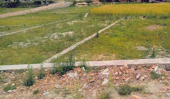 जग्गाको मूल्याङ्कन बढ्दा किसानका लागि हर्ष न बिस्मात