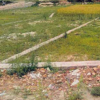 सर्वोच्चको आदेशपछि रेशम चौधरी पक्राउ