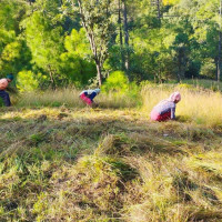 शिक्षा बिनाको मान्छे सुगन्ध बिनाको फूल जस्तै : उपसभामुख राना