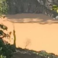 डेरी उद्योगदेखि गाडी सञ्चालनसम्म