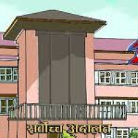 लोकप्रिय बन्दै बँदिया भालेको परिकार