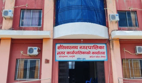 लोकप्रिय बन्दै बँदिया भालेको परिकार