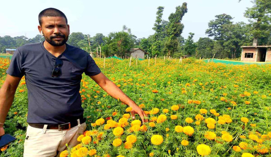 भारतको फूल विस्थापति गर्ने अभियानमा युवा