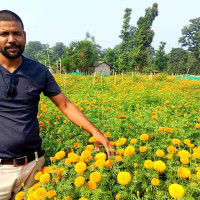 पर्यटन प्रवर्धन गर्न देवचुलीमा महोत्सव