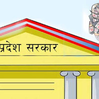 दुई दिने बिदा : पेट्रोलियम पदार्थको खपतमा कमी आएन