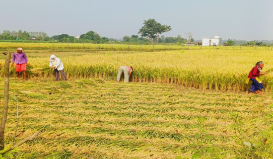 नियात्रा सङ्ग्रह ‘ससुरालीदेखि सुस्तासम्म’ विमोचन