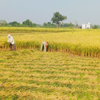 मृत्यु भएका मतदाताको नाम हटाइएन