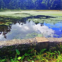 भण्डारी र सापकोटालाई एनएसजेएफ पत्रकारिता पुरस्कार