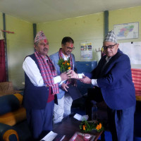 हट्यो तुइन, बन्यो झोलुङ्गे पुल