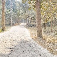 पूर्ण रूपमा खुल्दै चीनसँगका नाका