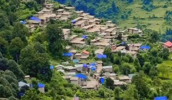 डाँडाफया गाउँका चोरीका बिगबिगी