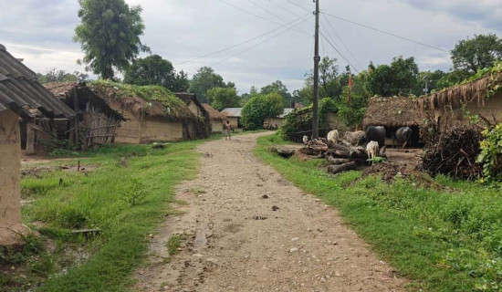 एनएमएको अध्यक्षमा निमानुरु निर्वाचित