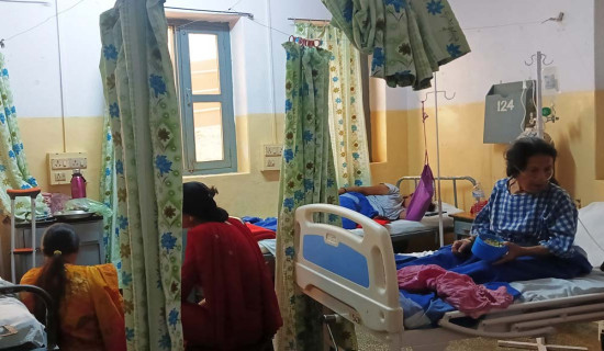 बढ्दै ‘स्क्रब टाइफस’