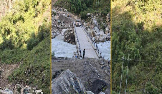 पुरिएको अवस्थामा फेला पर्‍यो पाटे बाघ